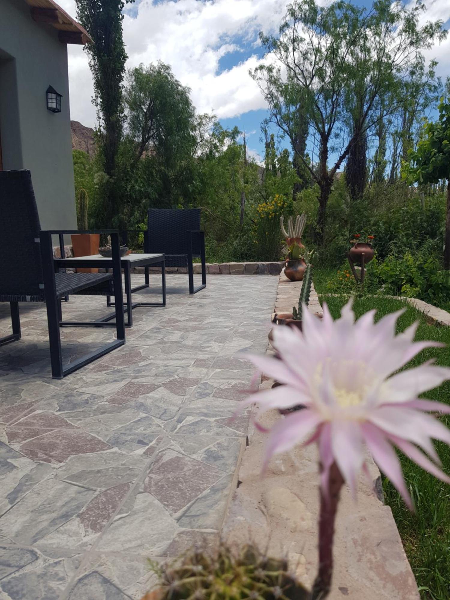 Tierra Primitiva Apartment ตีลการา ภายนอก รูปภาพ