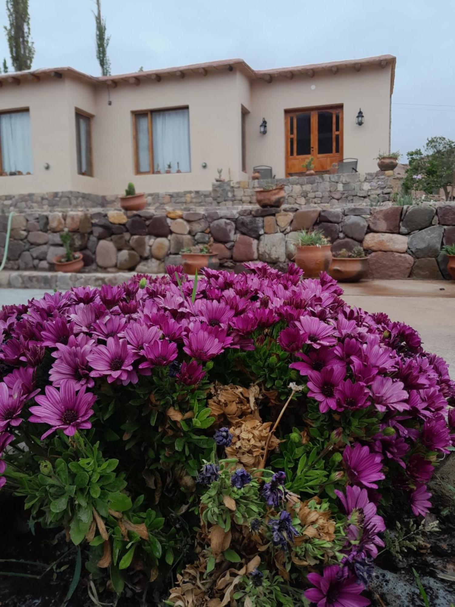 Tierra Primitiva Apartment ตีลการา ภายนอก รูปภาพ